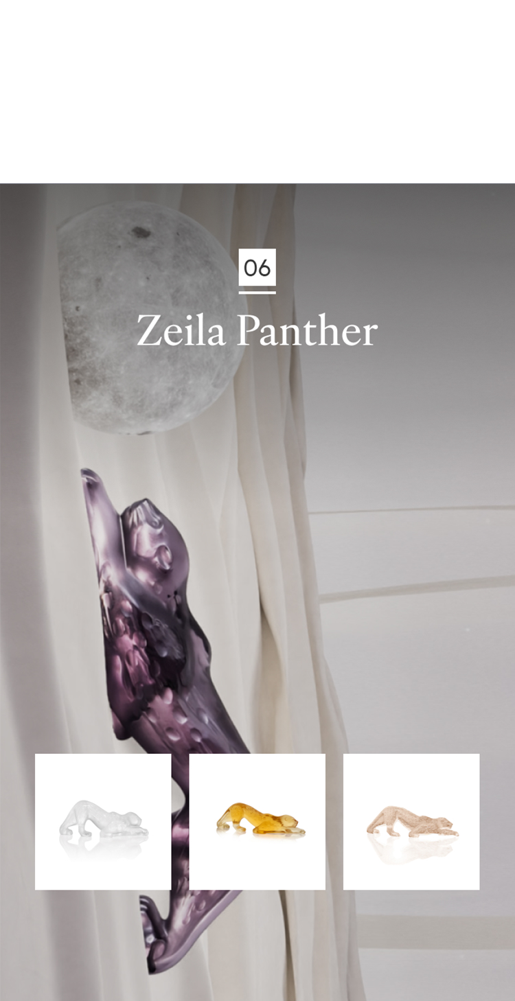 Zeila Panther