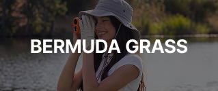 BERMUDA GRASS