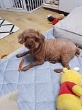 20210703_000443.jpg