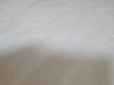 20191004_131043.jpg