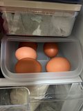 IMG_7946.jpeg