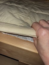 input_image_100991954.jpg