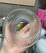 IMG_9958.jpeg