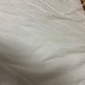 IMG_1028.jpeg