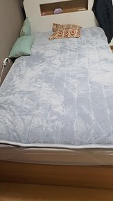input_image_358650423.jpg