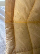 IMG_0288.jpeg