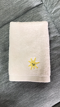 C5C28D8F-AFC2-450A-B420-856B749D4889.png