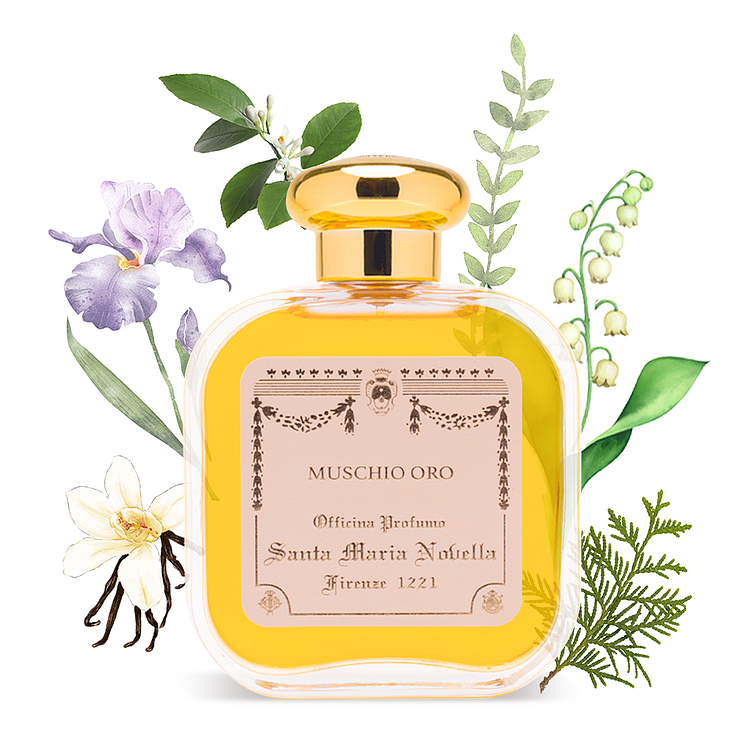 무스치오 오로 오드코롱 50ml