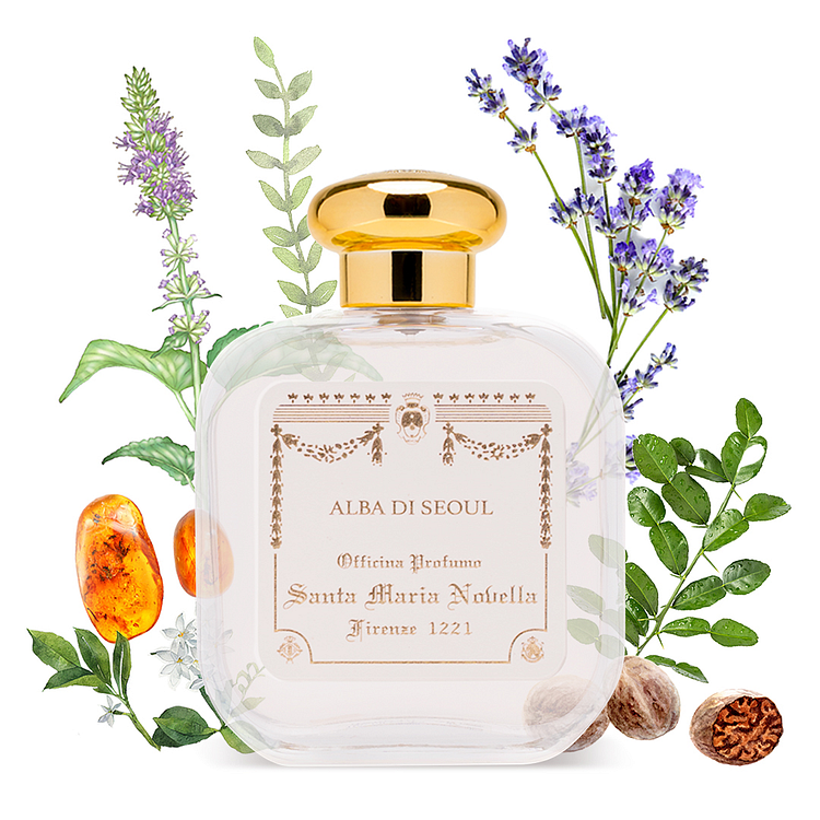 알바 디 서울 오드코롱 50ml
