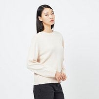 Model’s INFO