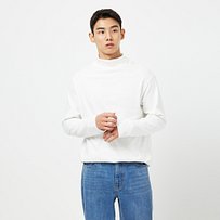Model’s INFO