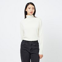 Model’s INFO