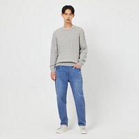 Model’s INFO