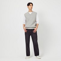 Model’s INFO