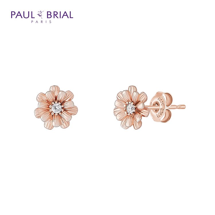 PAUL BRIAL(폴브리알) [PAUL BRIAL] 폴브리알 폴브리알 [SILVER] PGSE0141 시네라리아 귀걸이 | 신세계V