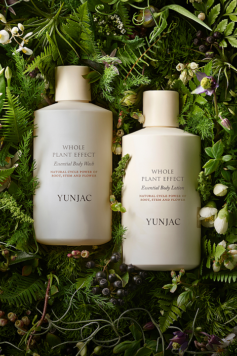 BODYCARE