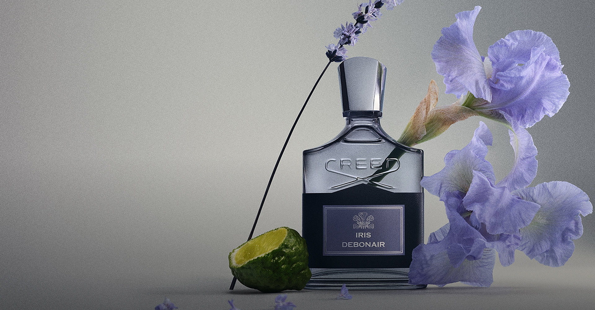 IRIS DEBONAIR