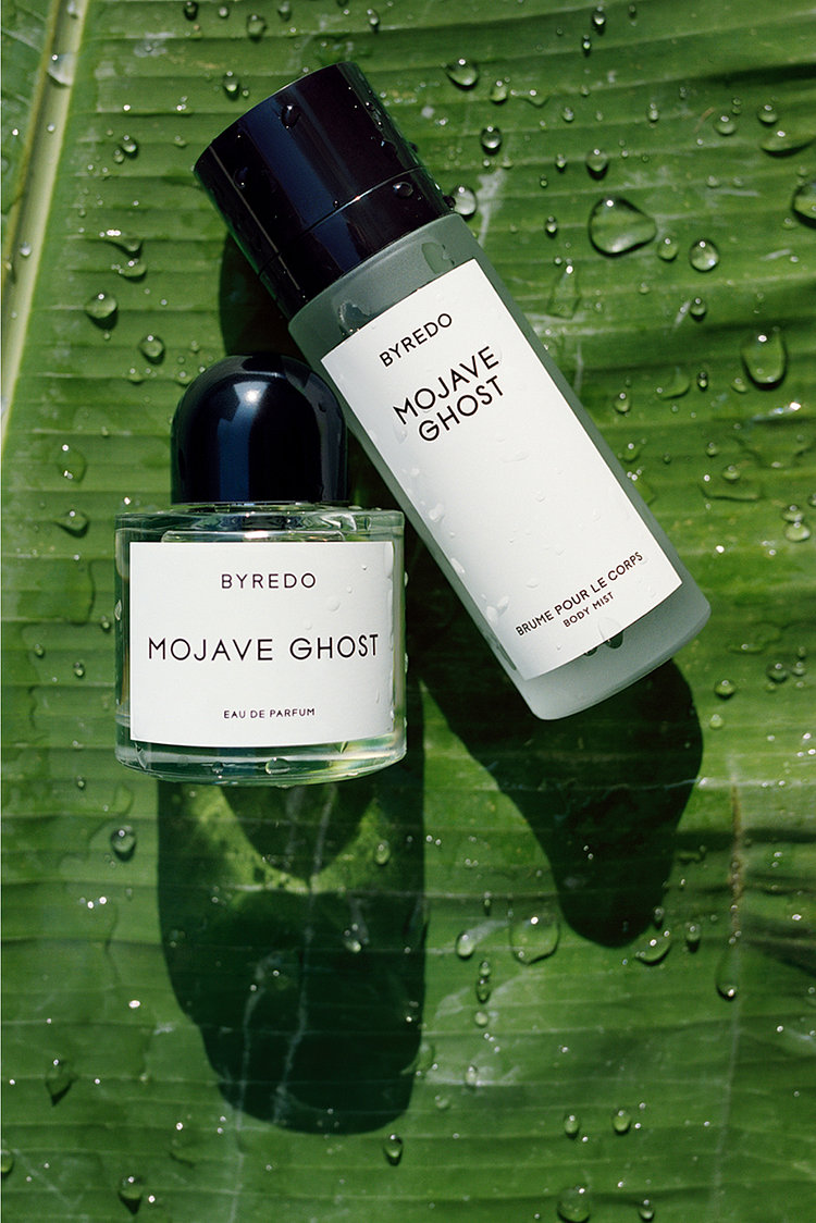 투명한 향으로\n새기는 여름 기억