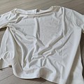 input_image_166330041.jpg