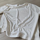 input_image_166330041.jpg