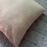 IMG_0791.jpeg