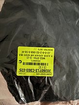 IMG_6533.jpeg