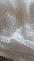 input_image_238590684.jpg