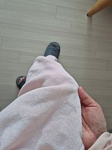 input_image_12386127.jpg
