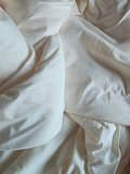 input_image_582291144.jpg