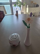 input_image_101594296.jpg