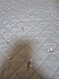 input_image_246816613.jpg