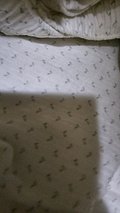 input_image_1905679340.jpg