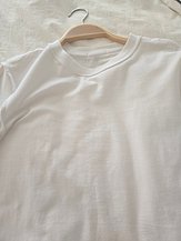 input_image_683457690.jpg