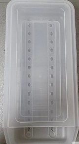 6137.jpg