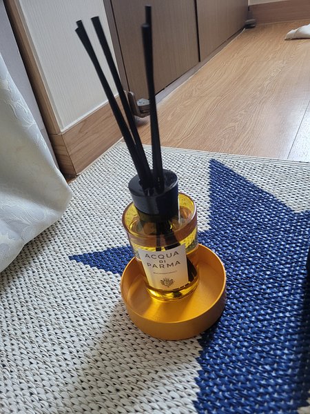 input_image_2391638364.jpg