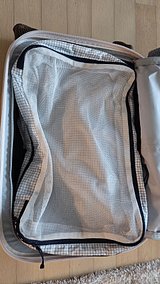 input_image_163601117.jpg