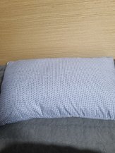 input_image_100444222.jpg
