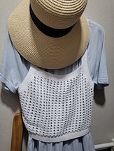 input_image_249482076.jpg
