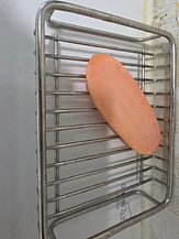 input_image_680998137.jpg
