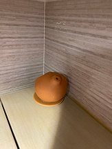 IMG_4689.jpeg