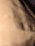 input_image_677108384.jpg