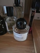 input_image_663772583.jpg