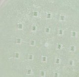 IMG_1811.jpeg