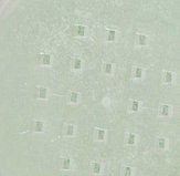 IMG_1811.jpeg