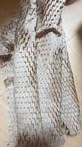 input_image_27270360.jpg