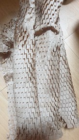 input_image_27270360.jpg