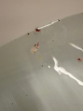 IMG_5839.jpeg
