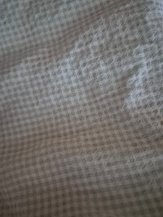 input_image_141035222.jpg