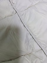 input_image_543971020.jpg