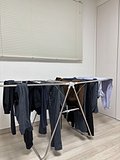 IMG_9060.jpeg
